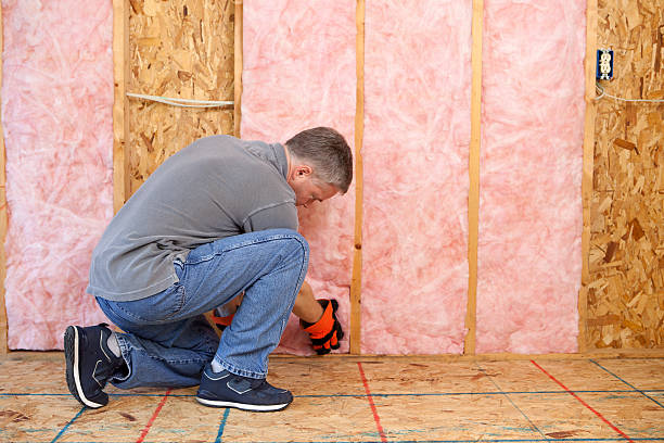 Insulation Replacement Services in Poynette, WI